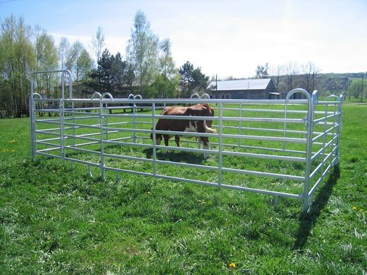 Steel Round Rails Livestock 1.8m Hdg Cattle Yard Panels